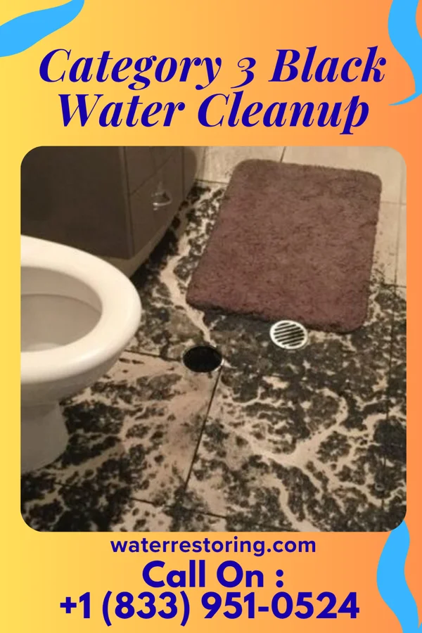 Category 3 Black Water Cleanup in Clark, PA
