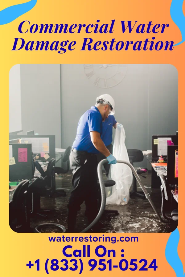 Commercial Water Damage Restoration in Clark, PA