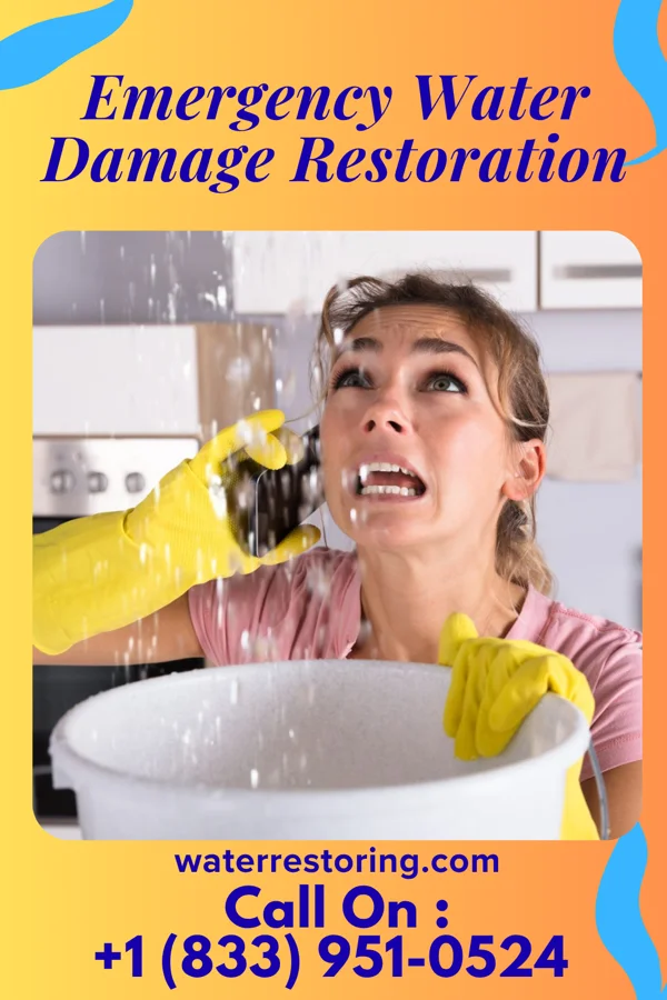 Emergency Water Damage Restoration in Clark, PA