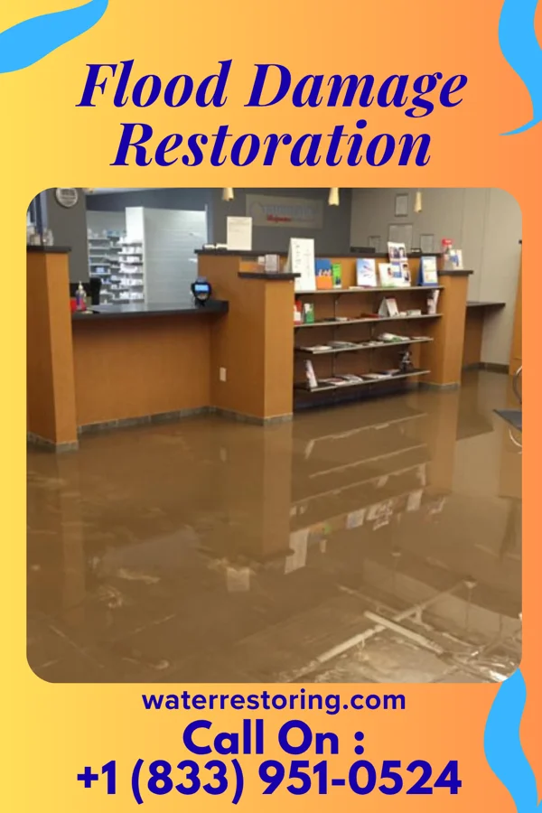 Flood Damage Restoration in Clark, PA