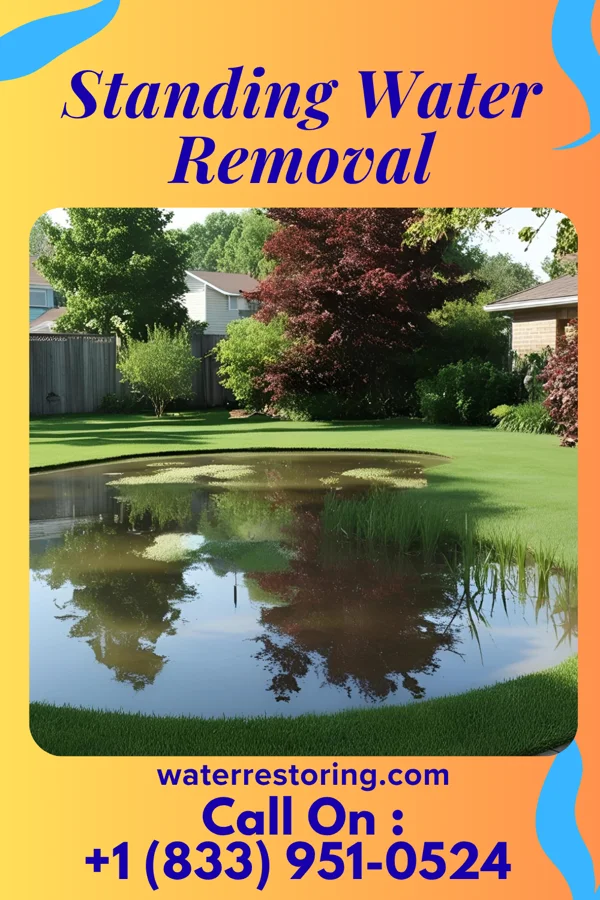 Standing Water Removal in Clark, PA